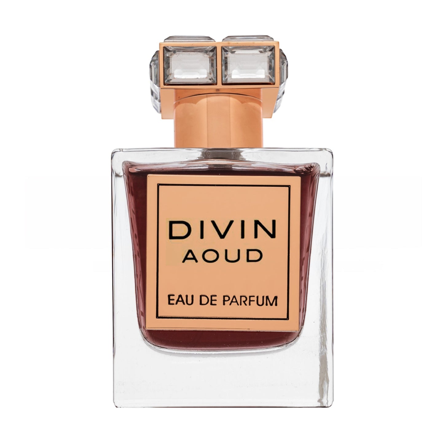 Fragrance World Divin Aoud Eau de Parfum 100 ml
